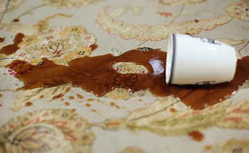 stain odor removal